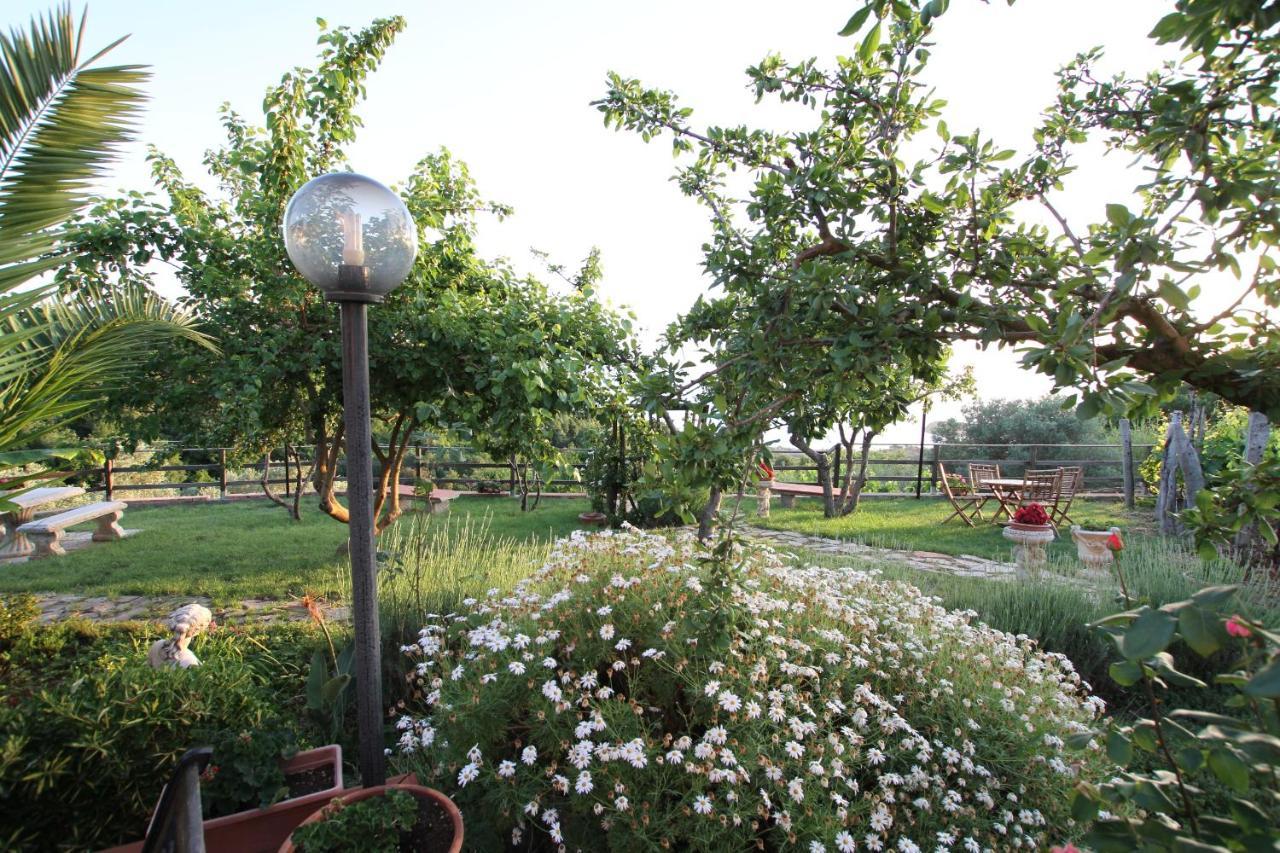 B&B La Sirenetta Диаманте Екстериор снимка