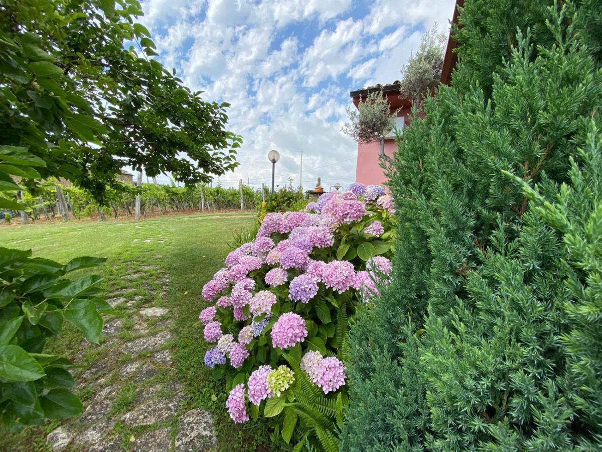 B&B La Sirenetta Диаманте Екстериор снимка